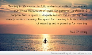 quest for meaning quote